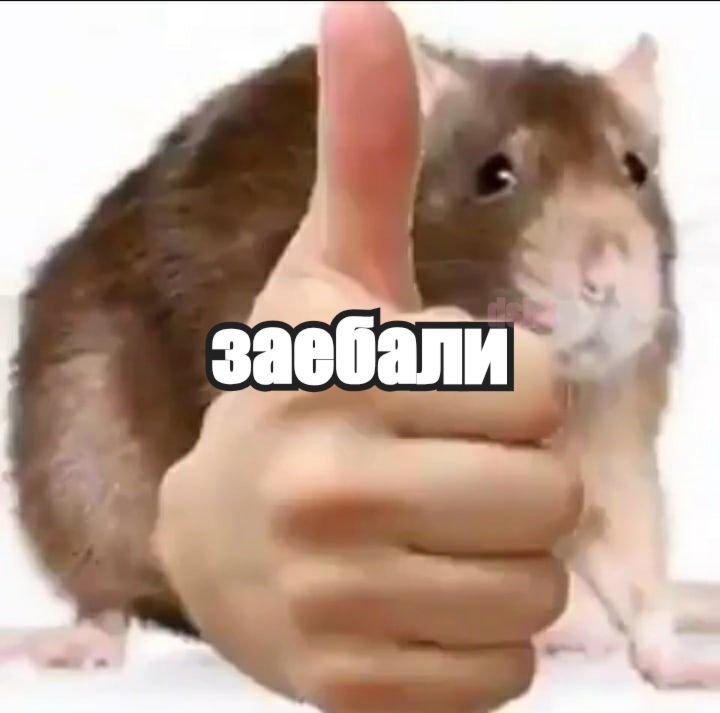 NotJuiceatall's tweet photo. Как игрок, который в общей сложности задонатил больше 350000 рублей , я вахуи
Я ждала шестого фаворита, потому что мне интересно, какой контент он принесёт
Отсутствие Валко ничего не изменит и всем пора смириться
Я ни копейки не дам игре, что слушает только Китай
#BringValkoBack https://t.co/KAlLmTCPro
