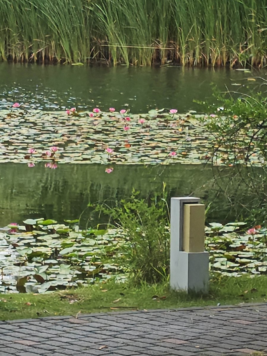xht1124533's tweet photo. 暨阳湖瞎逛 https://t.co/cT4wDmLN1f