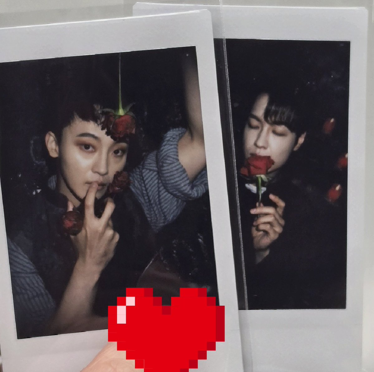 T8DLvzywcEA75UM's tweet photo. 오늘 뽑음 저는43폴라라고봅니다? 안경척 https://t.co/qqkILjEUR1