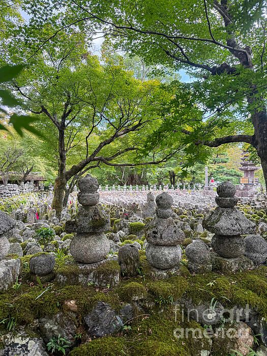 PatriciaPhotos's tweet photo. Adashino Nenbutsu ji temple in Kyoto in Japan https://t.co/26bdPN9k1C
#finearts #WallArt #homedecor #art #artgallery #artprints #giftideas #AYearForArt #LoveArt #WALLARTFORSALE #photography #japan #temple #kyoto #AdashinoNenbutsu #statues https://t.co/f6D6z9V7nz