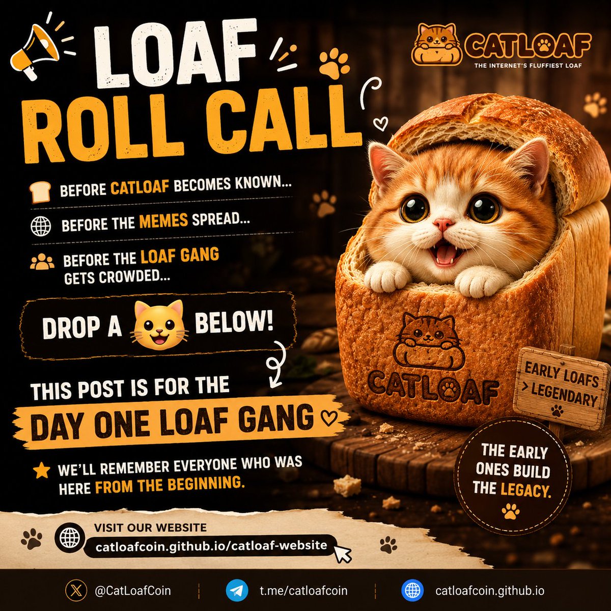🐱🍞 CatLoaf tweet media