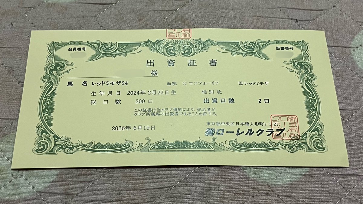 Key_Shijo_1104's tweet photo. 🐎が好きすぎてとうとう出資者になった(沼) https://t.co/2g9wL4d7jz
