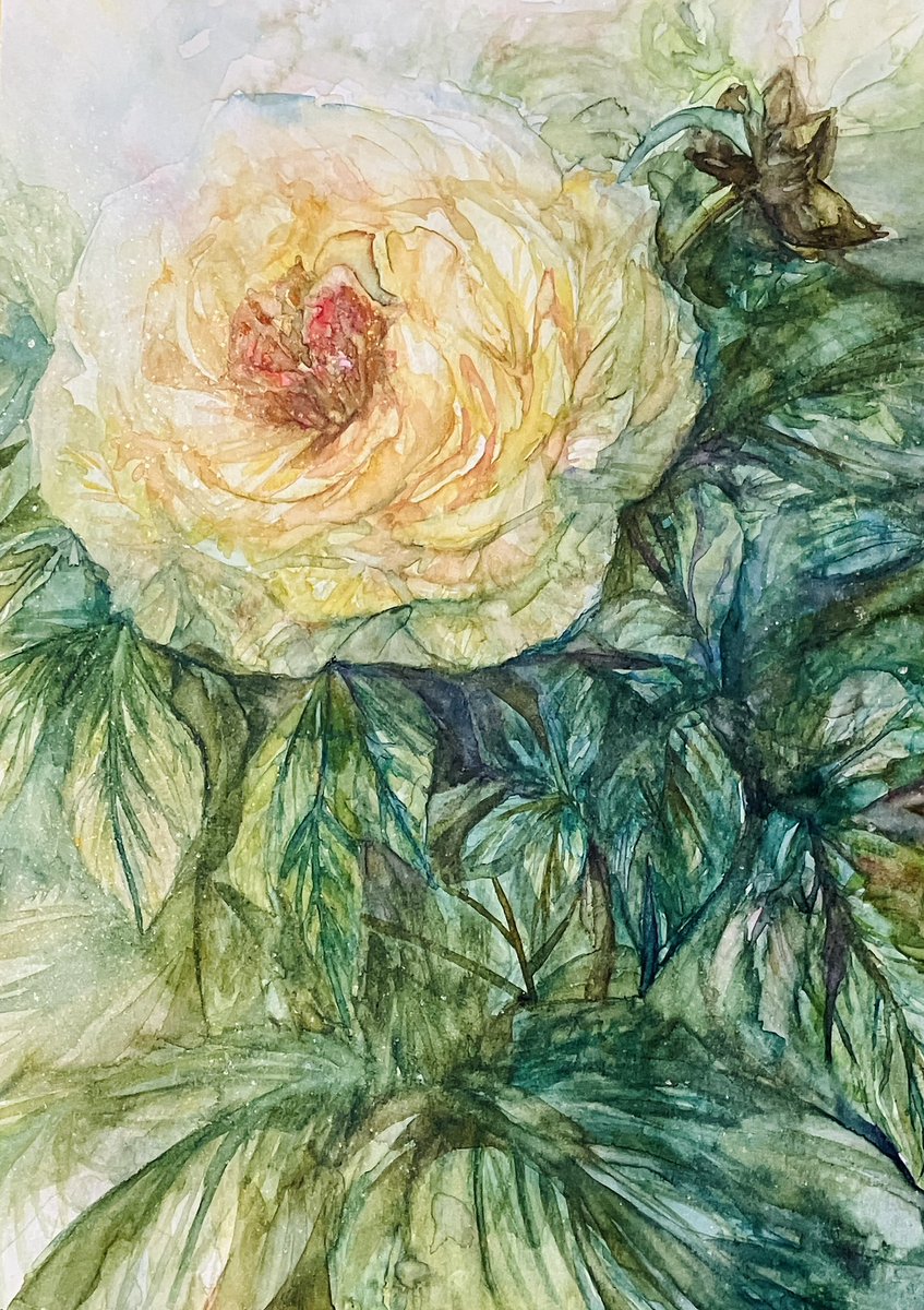 i6jUnvEXcwKzmf8's tweet photo. #2026年自分が選ぶ今年上半期の4枚
水彩画🎨 https://t.co/atpoACpINj