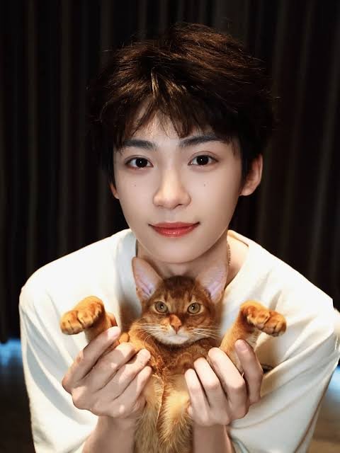 Cemoy2002's tweet photo. Ga perlu tes dna lagi. 
#Ziyu #Shiyi https://t.co/5M7kXoI7xu