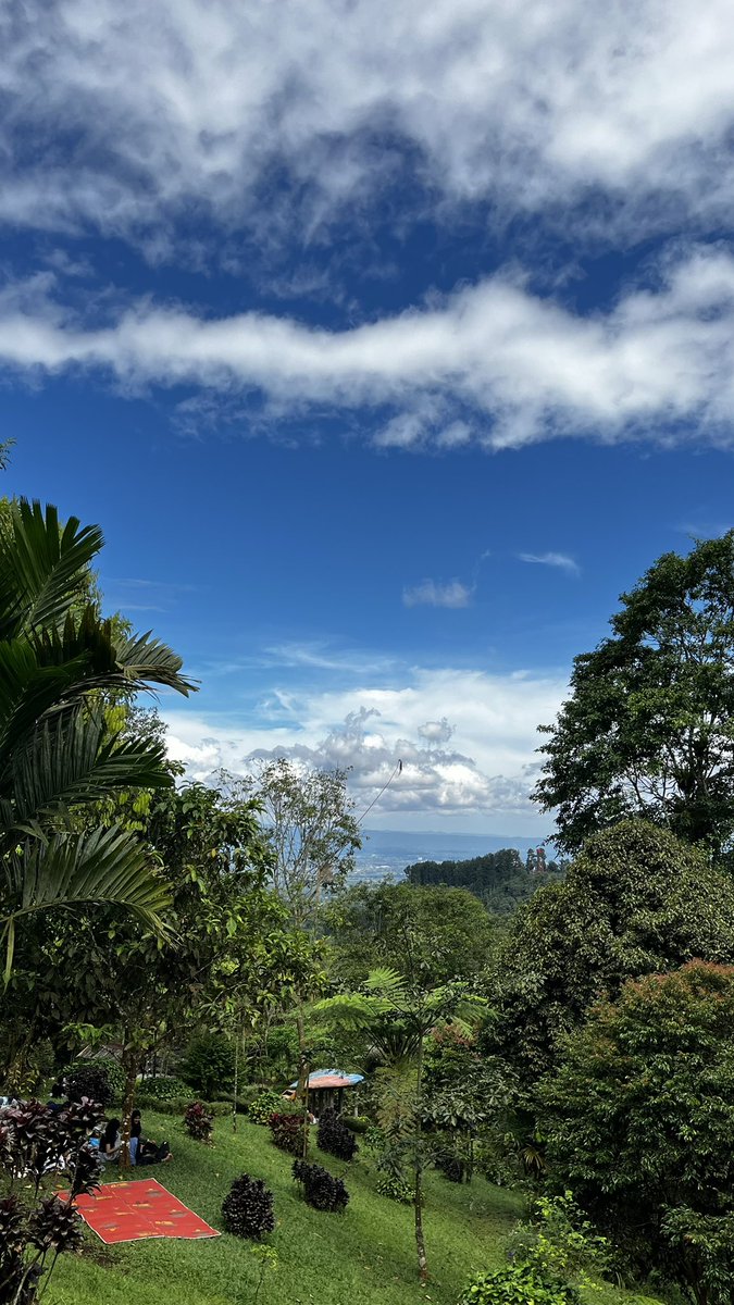 17terusmisuh's tweet photo. Midyear check-in: Surviving the storms, celebrating the sunshine. 2026 has been a beautiful mosaic of ups and downs, but my spirit remains unbroken. Ready to embrace the rest of the year with a lighter heart and a bigger smile. 🤍💫 https://t.co/X72PqA9Xrw