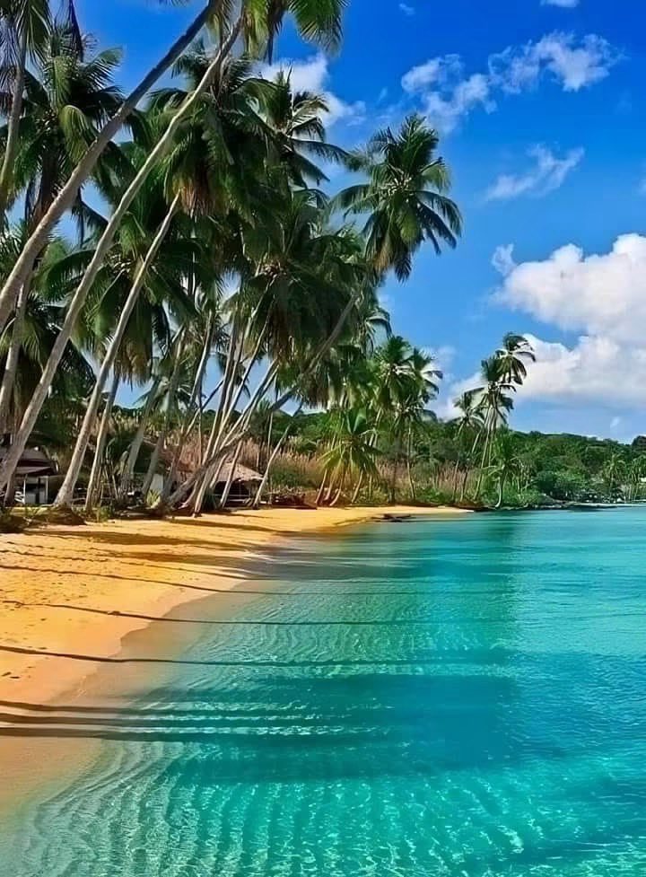 GianlucaCoccon1's tweet photo. Paradisíaca 
PLAYA COLORADA 
en la vía Cumaná-Puerto La Cruz…Edo Sucre 🇻🇪🇻🇪🇻🇪🇻🇪🇻🇪🇻🇪🇻🇪🇻🇪🇻🇪🇻🇪🇻🇪🇻🇪🇻🇪🇻🇪🇻🇪 @venezuelaenfoto https://t.co/NCd6eDBeYV