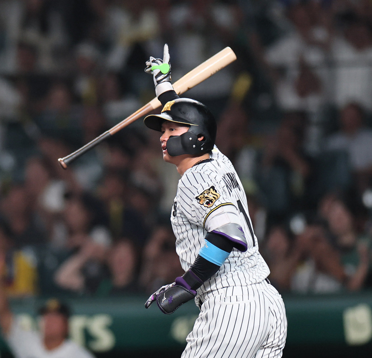 dailytigers2026's tweet photo. 森下選手、キング独走の１８、１９号
試合後は「甲子園で打つホームランが一番気持ちいい。甲子園で取るホームラン王は、他球場で取るとはかなり意味合いが違うなと。価値は高いかなと思っています」 https://t.co/blMZG0F5Jk