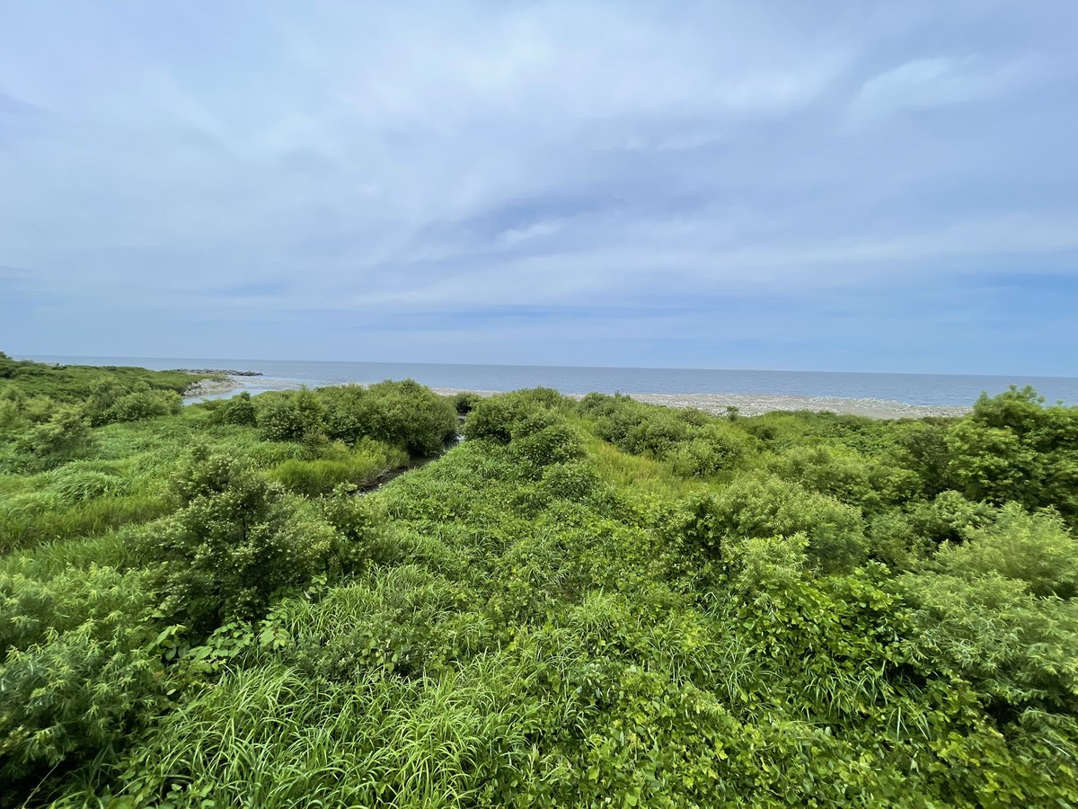 ZEPHYRCS's tweet photo. マジで写真で楽しさを伝えるって難しい。

山と川と海がある景観の良さ、マイバイクのカッコ良さ、カニご飯の美味さはこれらの写真では伝えられない。

なので、#久比岐自転車道　のハッシュタグを追ってみてください。 https://t.co/KrlfRX45wZ