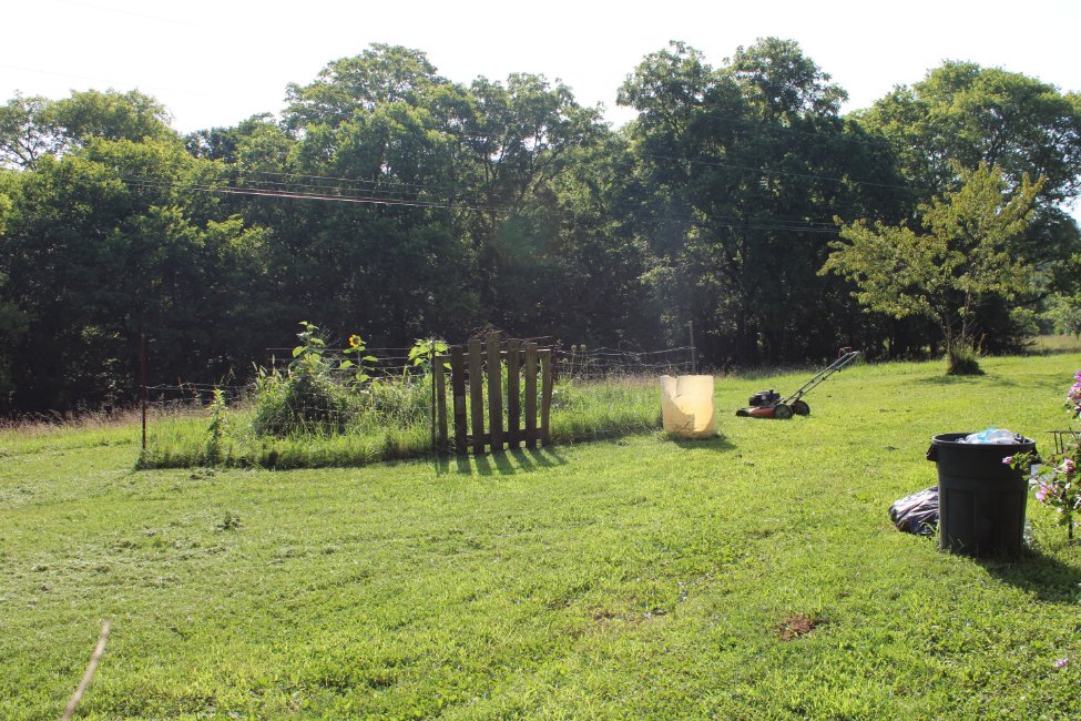 docsanderson's tweet photo. #Scientists #BotanicalGarden #Ecologist
@NatGeo @danpeckwx @HeartsofHeroes_
@Nature G Mags Lizzie Heat Index=109F today got in Real #Cardio mowing front #Orchard #Garden & aproach to the #Laboratory Barefeet short going in for Fluids&Aircon Love you Beautifuls Mwah Hot&Knotty Lee https://t.co/M7W0HewU2A
