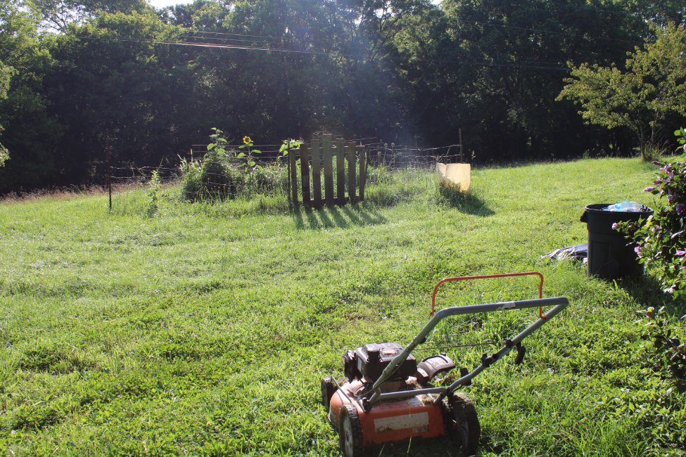 docsanderson's tweet photo. #Scientists #BotanicalGarden #Ecologist
@NatGeo @danpeckwx @HeartsofHeroes_
@Nature G Mags Lizzie Heat Index=109F today got in Real #Cardio mowing front #Orchard #Garden & aproach to the #Laboratory Barefeet short going in for Fluids&Aircon Love you Beautifuls Mwah Hot&Knotty Lee https://t.co/M7W0HewU2A