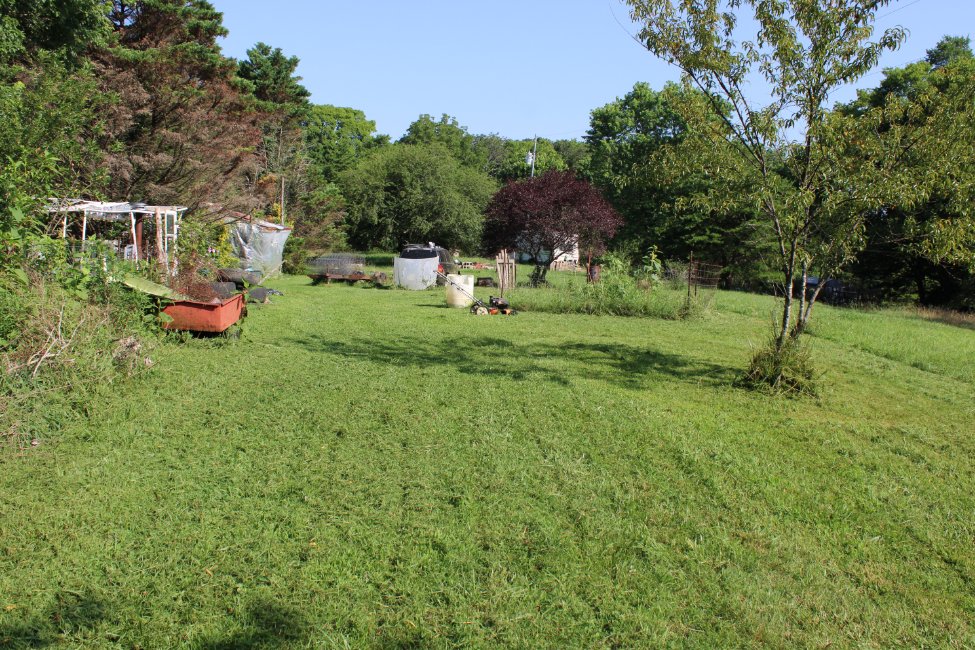 docsanderson's tweet photo. #Scientists #BotanicalGarden #Ecologist
@NatGeo @danpeckwx @HeartsofHeroes_
@Nature G Mags Lizzie Heat Index=109F today got in Real #Cardio mowing front #Orchard #Garden & aproach to the #Laboratory Barefeet short going in for Fluids&Aircon Love you Beautifuls Mwah Hot&Knotty Lee https://t.co/M7W0HewU2A