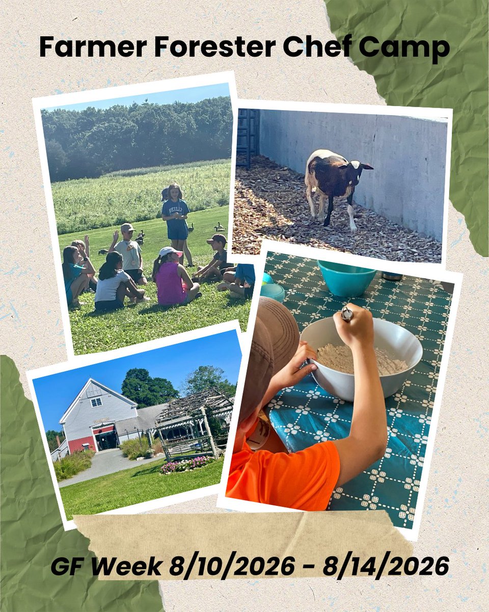 ChildrensCeliac's tweet photo. GF Camp Week– Powisset Farm, Dover, MA
Join the Trustees for a week of their Famer, Forester, Chef! summer camp at the beautiful Powisset Farm in Dover, MA. GF week is 8/10/2026 – 8/14/2026.

https://t.co/YfEXcvC7Hm https://t.co/2pEW5l50hn