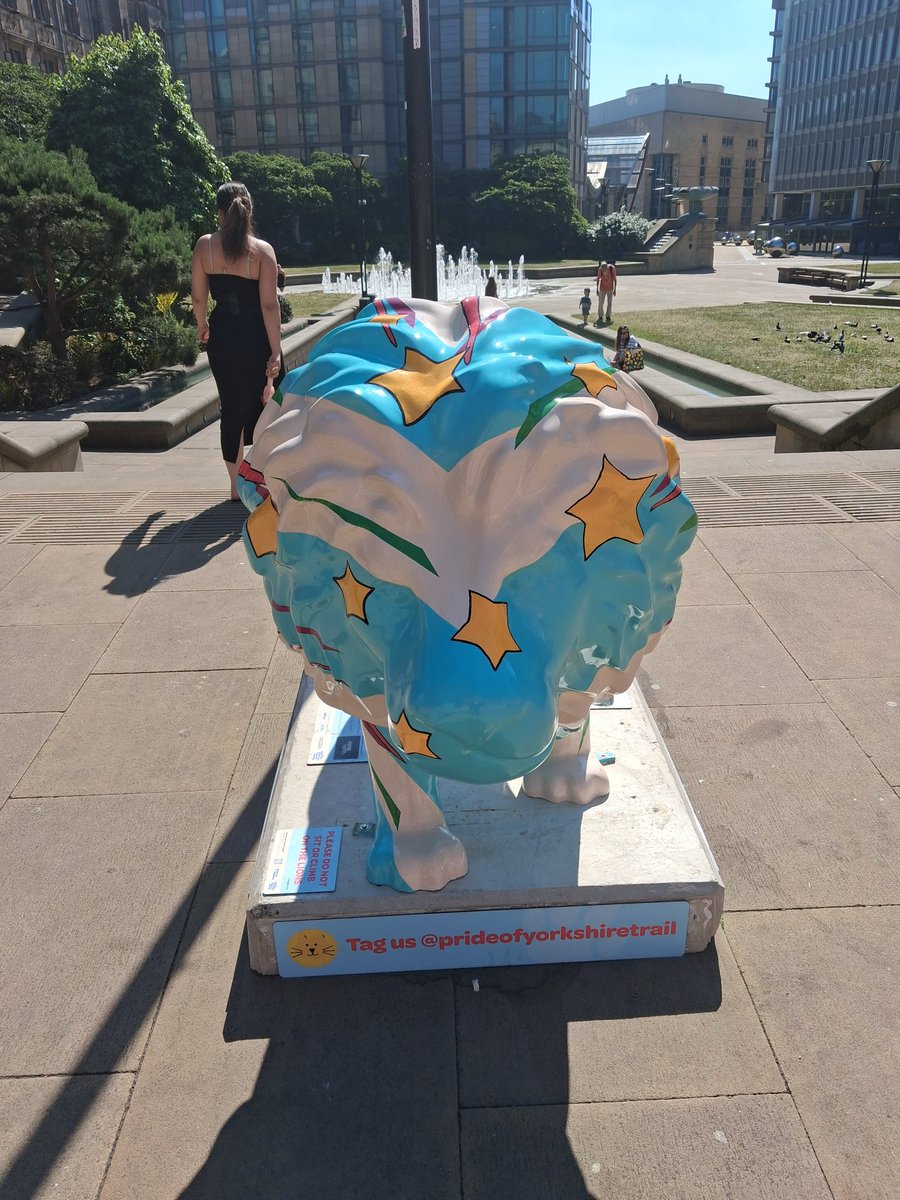 JayJayCrane's tweet photo. #PrideOfYorkshire #Sheffieldissuper🦁 https://t.co/5qUgxQ8T3o