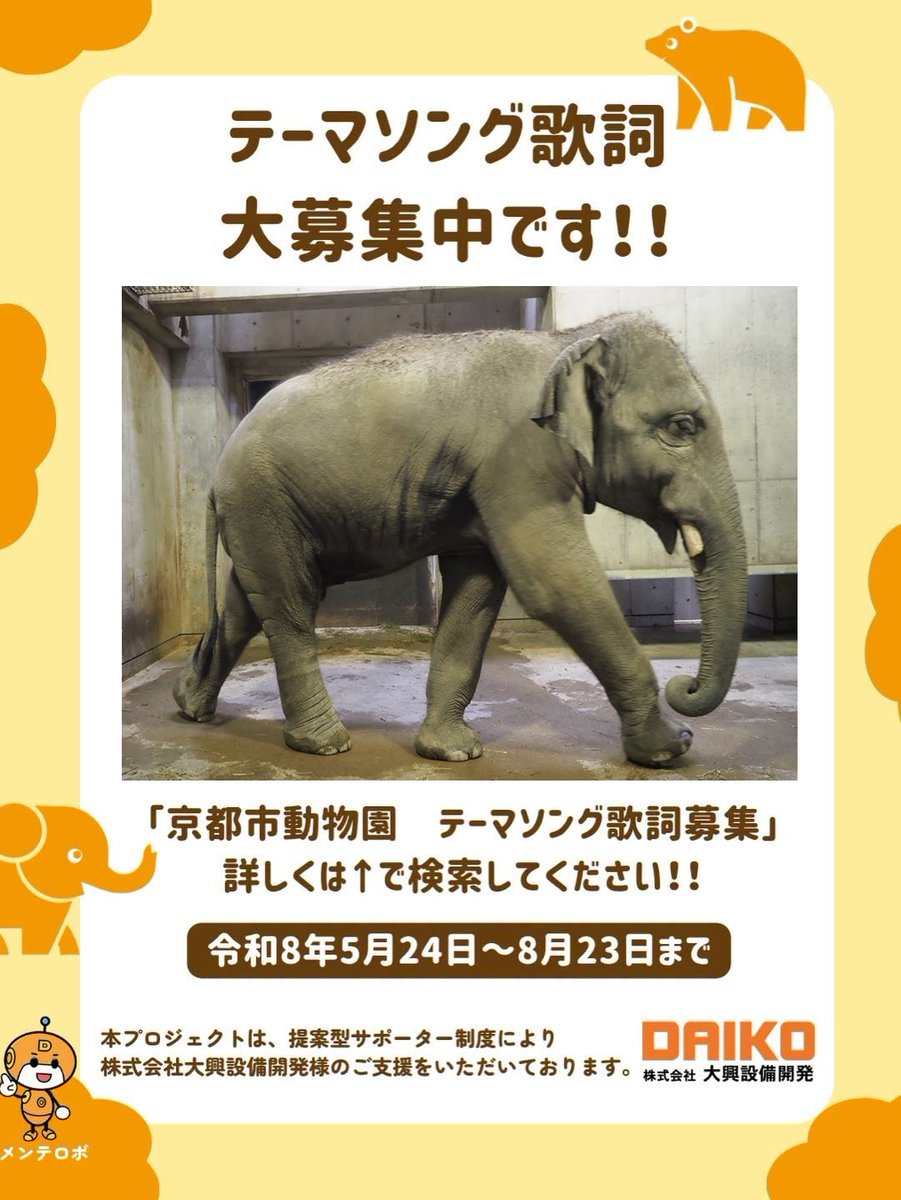 kyotoshidoubut1's tweet photo. 雨の日は泥浴びを楽しむゾウたちがおすすめです。プールに入ることがほとんどんなくなったミトも泥浴びはしています。
#京都市動物園 #kyotocityzoo #ゾウ #雨の日 #お勧め #行動 #泥浴び #elephant #rainyday #recommend #behaviour #mudbathing #テーマソング #歌詞募集 #大興設備開発 #DAIKO https://t.co/gnR1d4XZLu