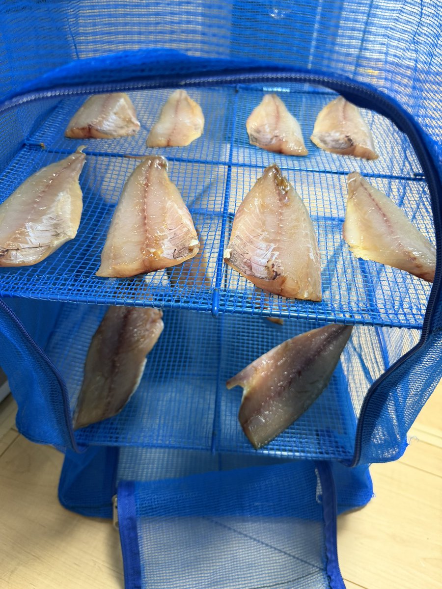 Turigubinbou's tweet photo. 昨日のアジサバでみりん干し😄 https://t.co/oy3KhwkrCy