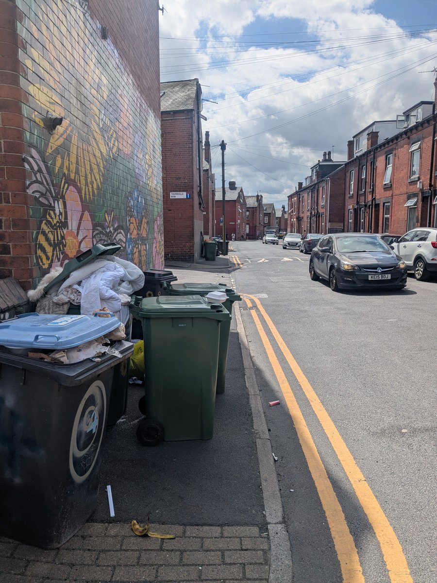a8bitcoin's tweet photo. Hi @LeedsCC_Help. There are bins being left on the pavement around Thornville Street and it difficult for people with pushchairs to get past. Could this please be looked into? Thank you. https://t.co/DXLBMi1Vud