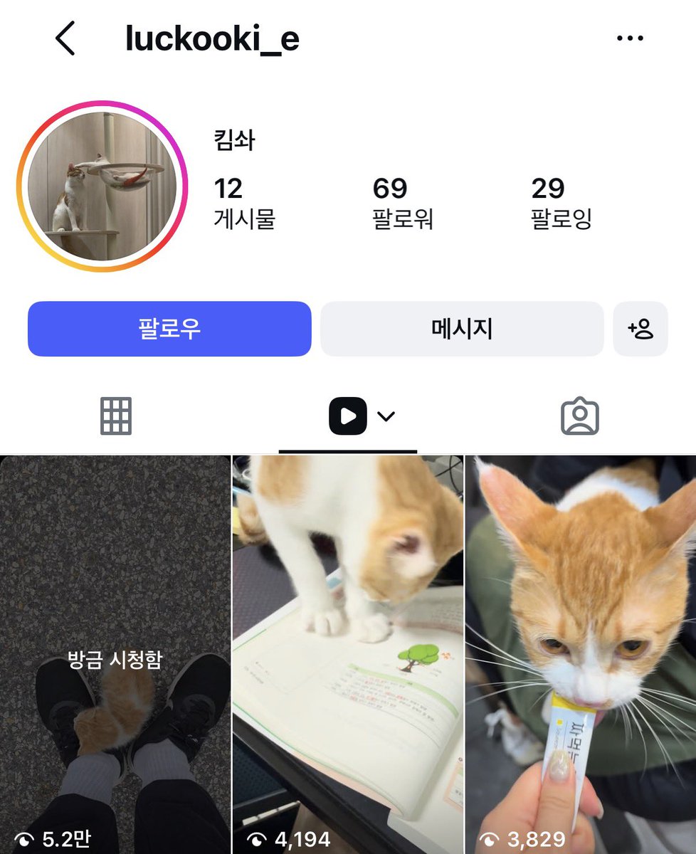 kyubalnom's tweet photo. 아니 무작위로 뜬 릴슨데
애기고양이가 이사람한테 삐약거리면서 파고드니까
난니못키운다. 미안한데 키울수가 없다. 잘가라
막 이러는데
피드 드가보니까 저집 입양가서 존나 커있음 ㅋㅋㅋㅋㅋ https://t.co/3WZYq6gTKR