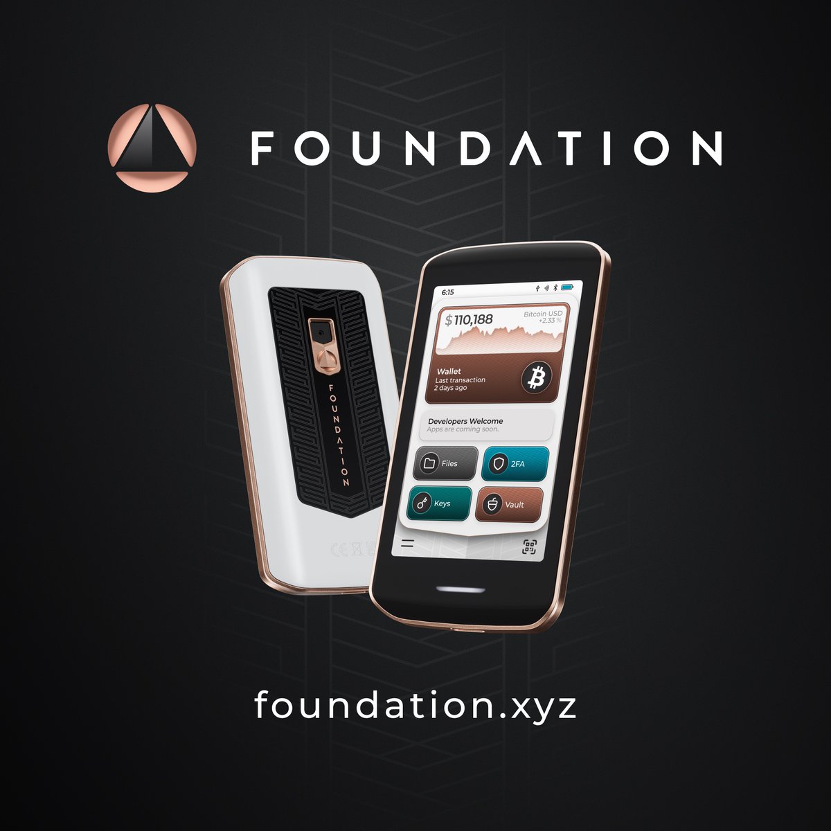 FoundationHQ's tweet photo. Your whole digital life, encrypted and offline in your pocket. 

Passport Prime✨ https://t.co/4IH3OCMvNG