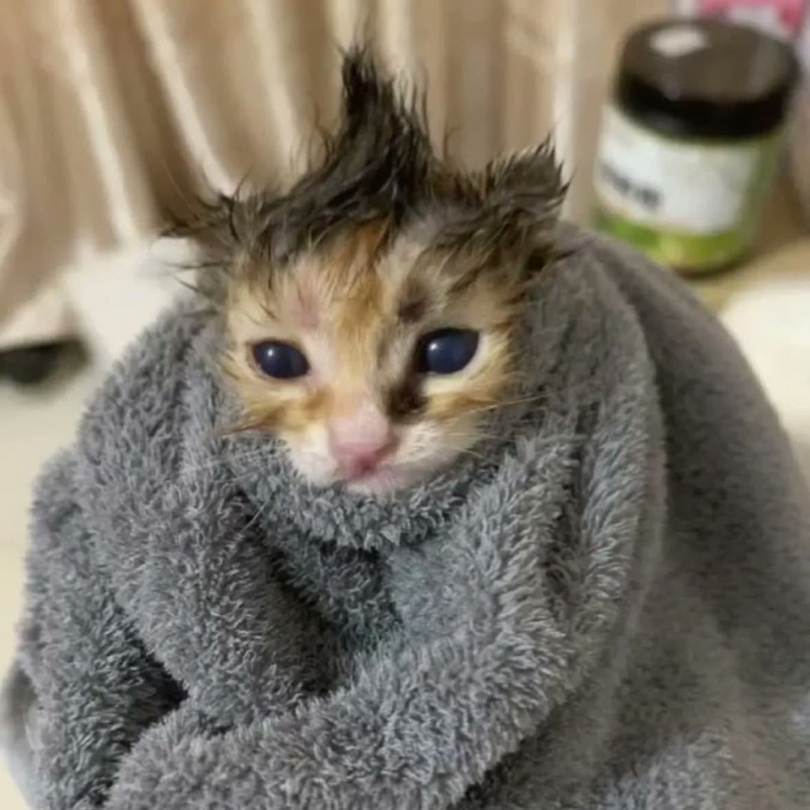 jjufeb6's tweet photo. 😭😭😭😭 https://t.co/qeNTd4bJhA