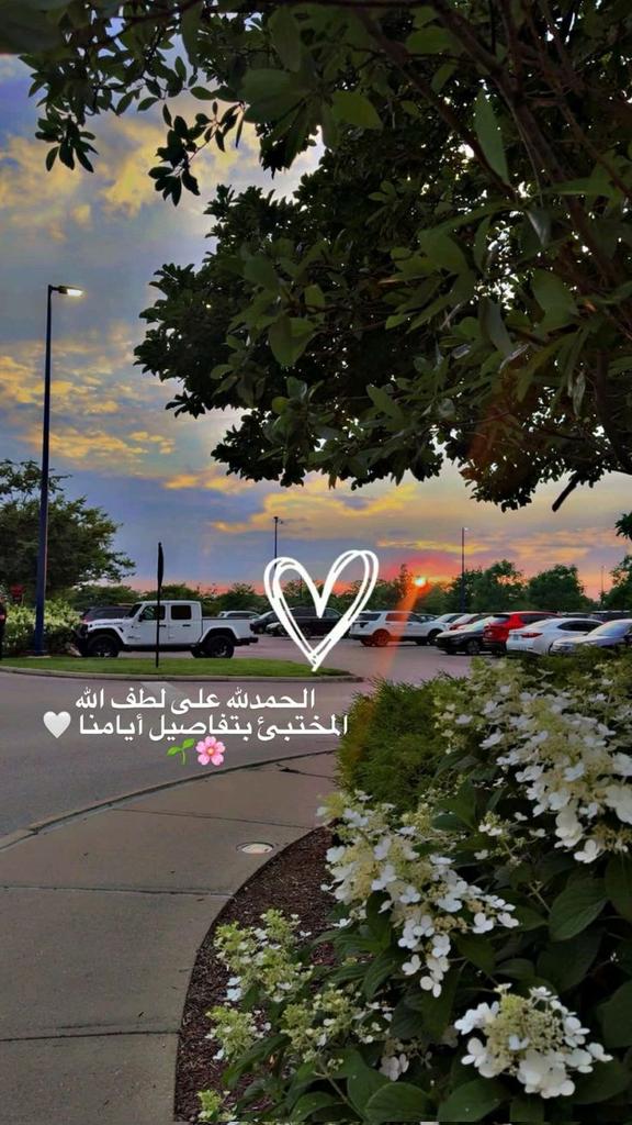 motm2na_'s tweet photo. الحَمد لله🧡.. https://t.co/vodl4fkaj2