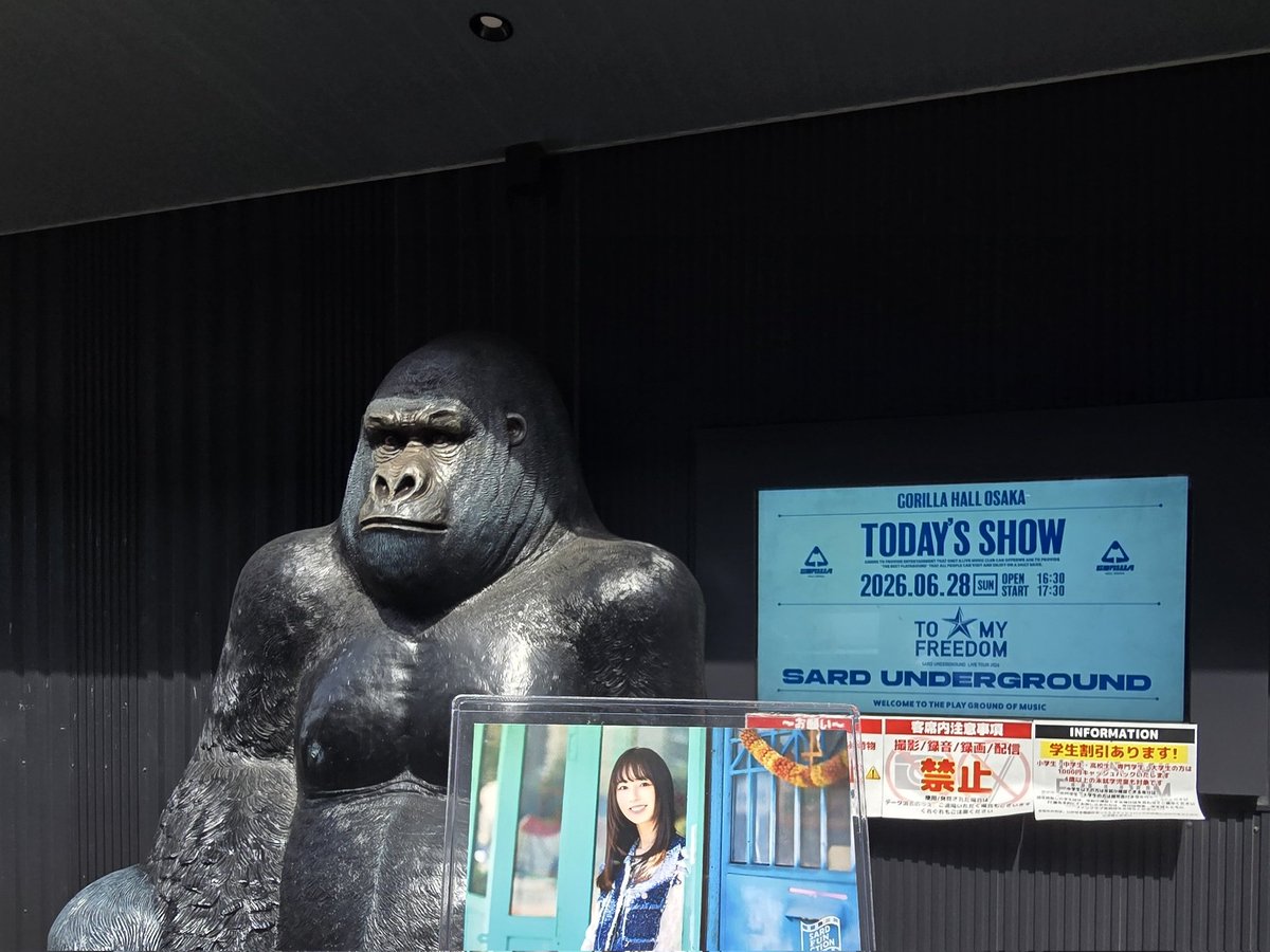hnmrdia7575's tweet photo. 友亜ちゃん
友亜ちゃん
友亜ちゃん
友亜ちゃん
#6月を写真4枚で振り返る
#SARDUNDERGROUND
#TOMYFREEDOM https://t.co/KUivUPtVMf