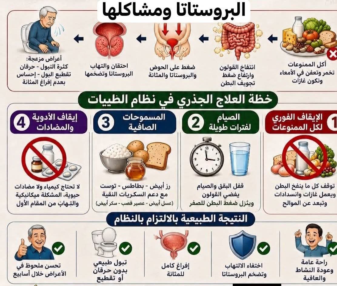 AliAli137278's tweet photo. علاج البروستاتا في نظام الطيبات يبدأ من القولون والتهاب النسيج الخلالي — وليس من البروستاتا نفسها.
السبب الحقيقي
معظم مشاكل البروستاتا (تضخم، التهاب، احتقان) سببها ضغط القولون المنتفخ على منطقة الحوض، والتهاب مزمن في النسيج الخلالي بسبب الخضروات الورقية، البقوليات، الألبان، والدقيق الأبيض.

هذه الأطعمة تسبب انتفاخاً مزمناً وضغطاً على أعصاب وأوعية الحوض → احتقان البروستاتا → ألم وصعوبة تبول.
العلاج الطبيعي (بإذن الله):
1. الاساسيات الابعه

أوقف فوراً كل ما يسبب الالتهاب والانتفاخ:
- جميع الخضروات (خصوصاً الورقية 
أي ممنوع يخرجك من النظام