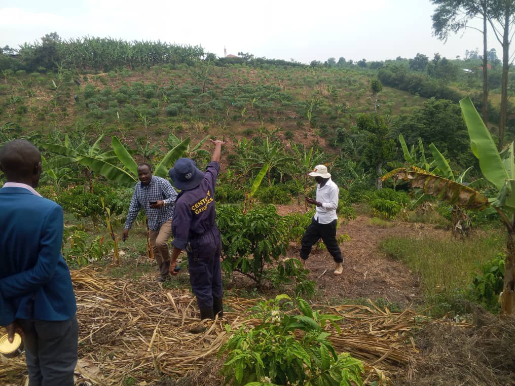 Mugabedavis5's tweet photo. Great things happen when leaders and innovators work together. Today, we welcomed the Rukungiri District administration to our coffee farm for a field visit, discussions on modern coffee farming, and a showcase of our premium Century Coffee products. https://t.co/n8Zr9bpuMy