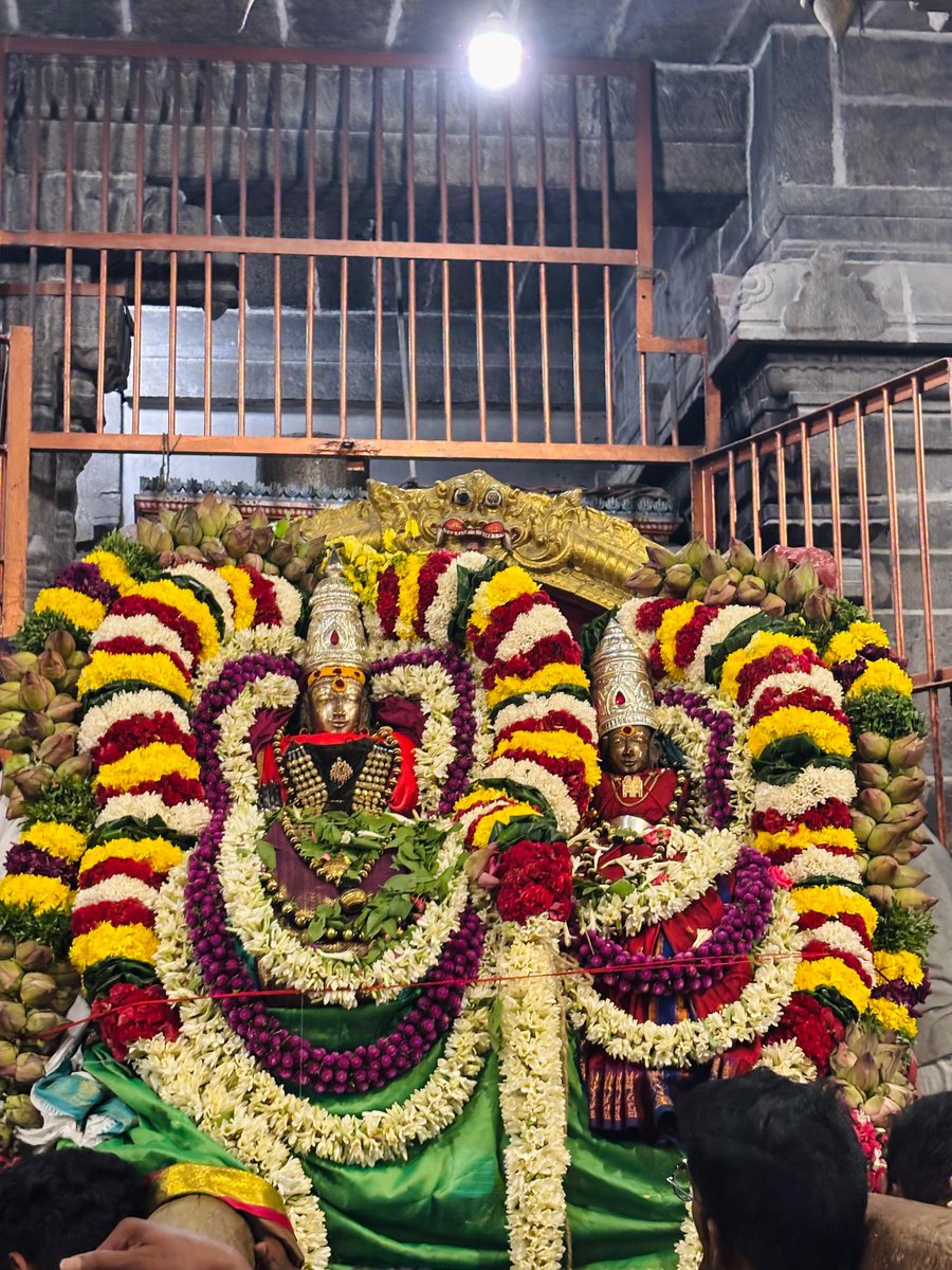 Sarayu 🤍🚩🇮🇳 tweet media