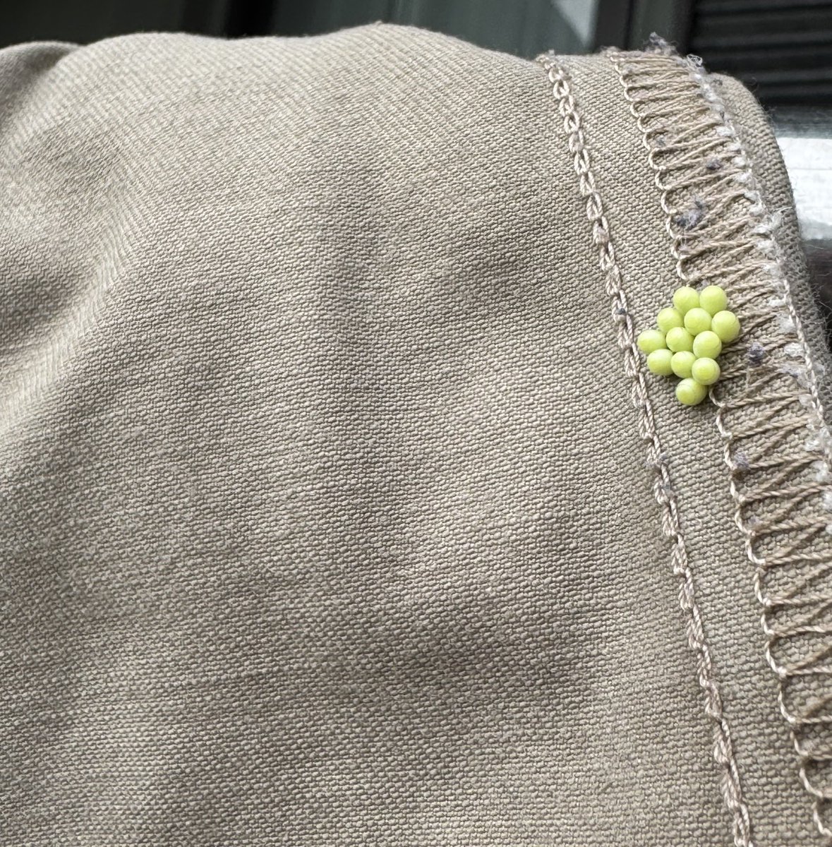 3kbqTa's tweet photo. 洗濯物に緑の丸いもん、
な、なんじゃこりゃあ⁈

気味悪くてすぐ捨てたけど。 https://t.co/CnMbqqwAIg