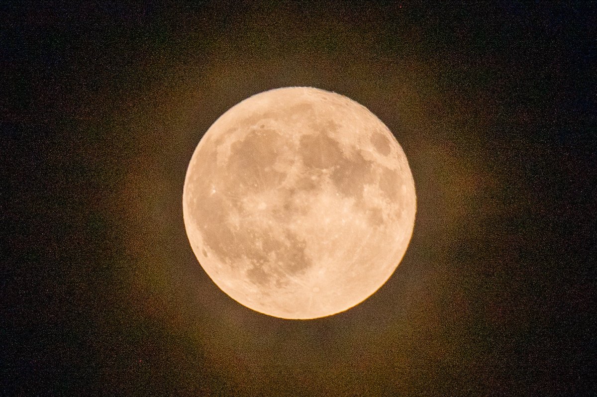 shogetsuan's tweet photo. 今夜の月🌕
月齢15.5、満月🌕
昨日の時点でお天気怪しいと言われてたけど、何とか持ちこたえて6月の梅雨時の満月「#ストロベリームーン」が雲間から顔を出しました🍓🌕
明日からお天気梅雨に逆戻り、果たして七夕の日は晴れるんでしょうか…🎋
#イマソラ #イマツキ #満月 #月が綺麗ですね https://t.co/dpM4lUmNLD