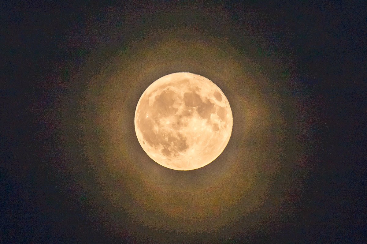 shogetsuan's tweet photo. 今夜の月🌕
月齢15.5、満月🌕
昨日の時点でお天気怪しいと言われてたけど、何とか持ちこたえて6月の梅雨時の満月「#ストロベリームーン」が雲間から顔を出しました🍓🌕
明日からお天気梅雨に逆戻り、果たして七夕の日は晴れるんでしょうか…🎋
#イマソラ #イマツキ #満月 #月が綺麗ですね https://t.co/dpM4lUmNLD