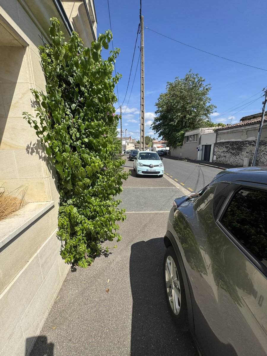 Creuselazur's tweet photo. @BxMetro c’est la fin des cours d’une Anne scolaire marquée par le laxisme de @PierreHurmic et @T_Cazenave qui légitime la présence de bagnoles garées n’importe comment aux abords de l’école. LAMENTABLE @gcum_fr @SO_Bordeaux #Bordeaux https://t.co/rWqRA5e77C