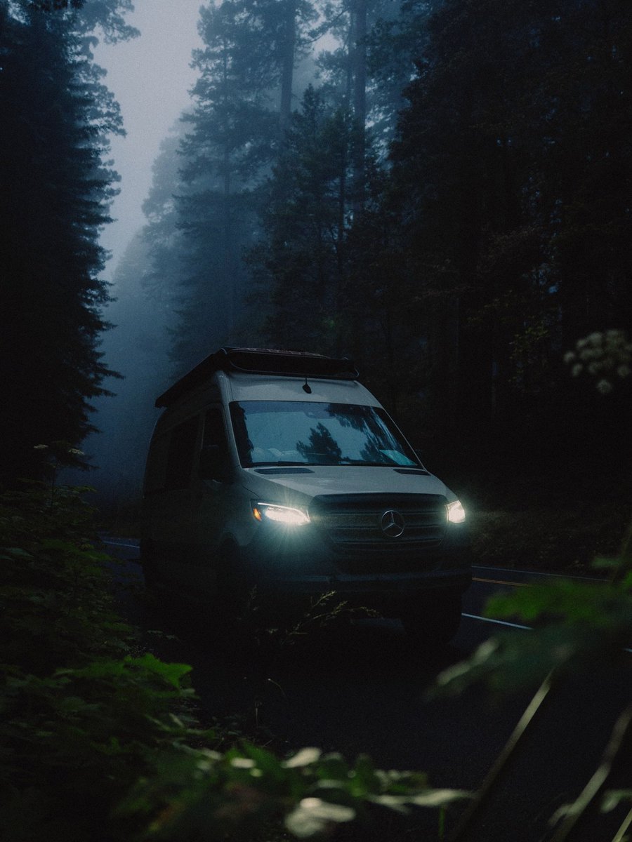 visualsofearth1's tweet photo. Blue hour drives through Redwood National and State Parks https://t.co/Gqe6DYRKxs