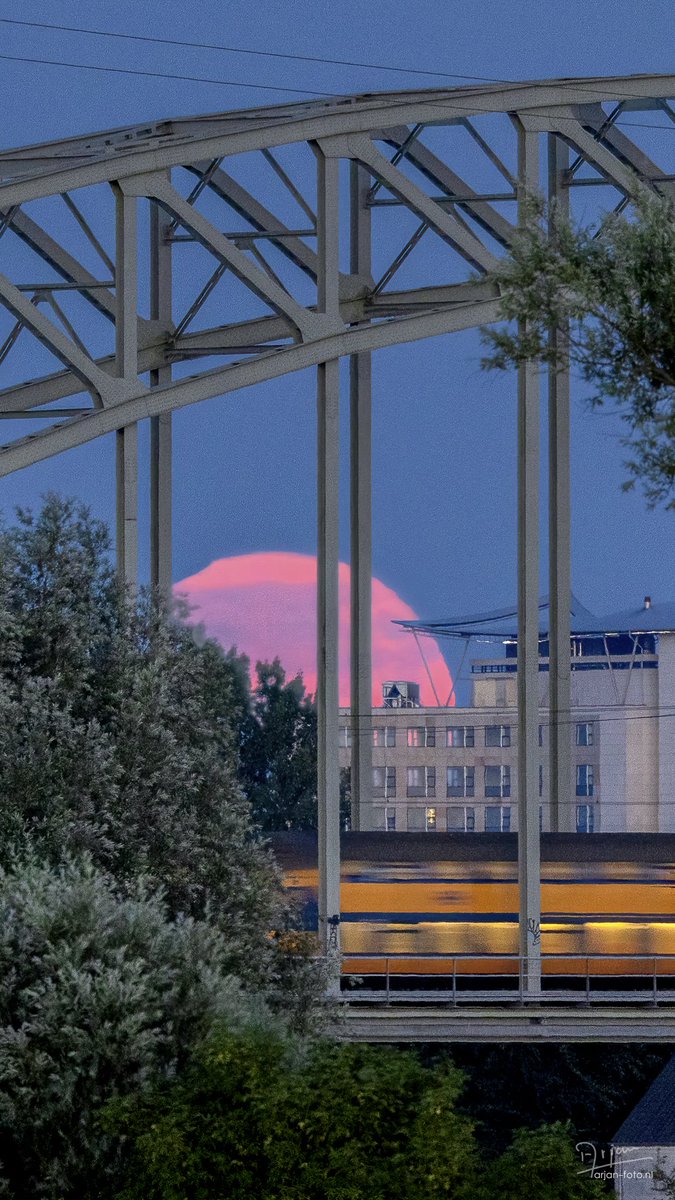 lmkndrs's tweet photo. Last evening's Strawberry Moonrise was amazing. 
@StormHour @ThePhotoHour @NASAEarth @BBCEarth 
#moon #strawberrymoon https://t.co/2OEfi3r9NJ