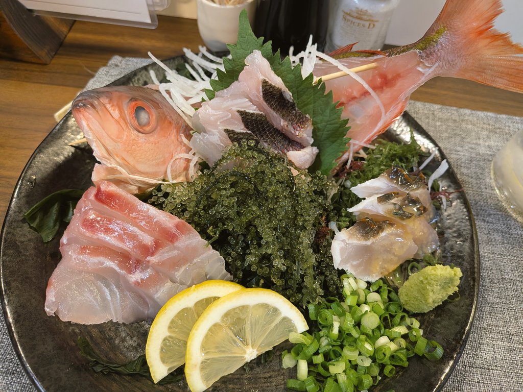 agtdys's tweet photo. 奄美大島の魚たちが美味しくて黒糖焼酎が止まらなくてとても困る幸せ…
そして曇りでも海がこんなに綺麗… https://t.co/XFS1DxuWGA