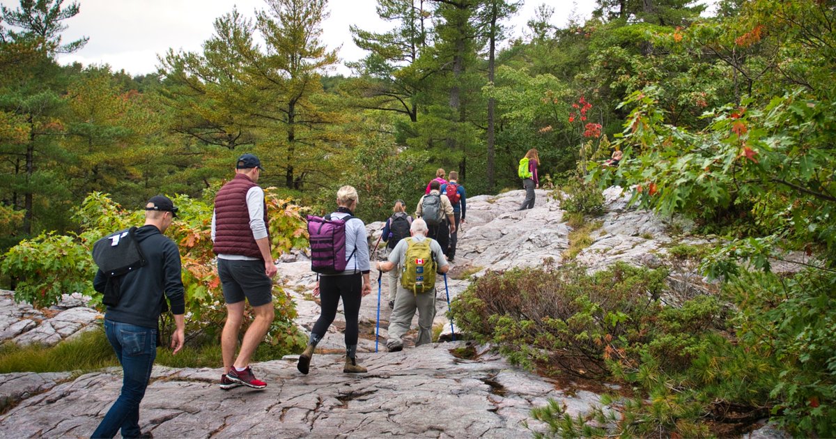 KillarneyPP's tweet photo. We're anticipating a busy weekend. 

Check availability and pre-book your day pass here: 
https://t.co/P2Abn2AfMx https://t.co/aFQA6MkhRR