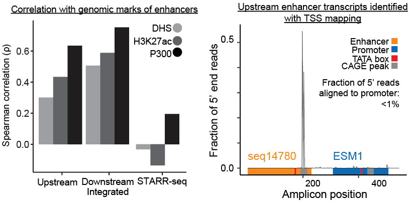 yxjtan's tweet photo. Surprisingly, confounders in widely used upstream and STARR-seq designs distort measurements of enhancer activity and lead to contradictory conclusions about E-P compatibility! https://t.co/UhDjxR2Q4W