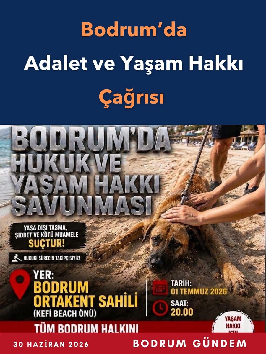 BodrumGundem's tweet photo. Bodrum’da Adalet ve Yaşam Hakkı Çağrısı https://t.co/DDKI88jAqs https://t.co/YqlkWxvcv8