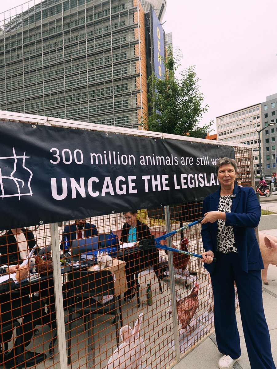 Anima_Int's tweet photo. We’re reminding the European Commission of the promises it made! 🐔

Exactly 5 years ago, on June 30, 2021, the European Commission approved the #EndTheCageAge citizens’ initiative and declared that it would phase out cages for farmed animals across the EU.

The Commission announced at the time that new regulations would be proposed by the end of 2023. Despite this, no proposal has been presented to this day, and millions of animals continue to suffer in cramped cages.

On the fifth anniversary of this promise, we gathered outside the European Commission building, where, together with our #EndTheCageAge coalition partners and Members of the European Parliament, we called on the Commission to take action.

Enough waiting. It’s time to listen to the voice of the people and end the cage age! ✊🏻