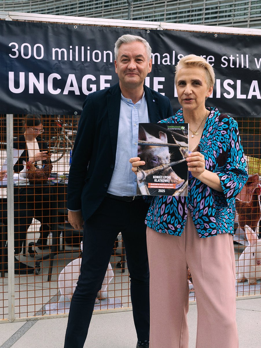 Anima_Int's tweet photo. We’re reminding the European Commission of the promises it made! 🐔

Exactly 5 years ago, on June 30, 2021, the European Commission approved the #EndTheCageAge citizens’ initiative and declared that it would phase out cages for farmed animals across the EU.

The Commission announced at the time that new regulations would be proposed by the end of 2023. Despite this, no proposal has been presented to this day, and millions of animals continue to suffer in cramped cages.

On the fifth anniversary of this promise, we gathered outside the European Commission building, where, together with our #EndTheCageAge coalition partners and Members of the European Parliament, we called on the Commission to take action.

Enough waiting. It’s time to listen to the voice of the people and end the cage age! ✊🏻