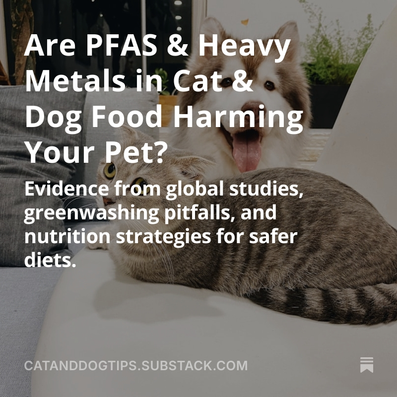 CatsAndDogsTips's tweet photo. Scientists are now uncovering evidence that some pet foods contain PFAS (“forever chemicals”) and toxic heavy metals above levels considered safe #Cats #Dogs #CatHealth #DogHealth #Catlovers #Doglovers https://t.co/EanOGCdUnb https://t.co/KWvx2PzNjG