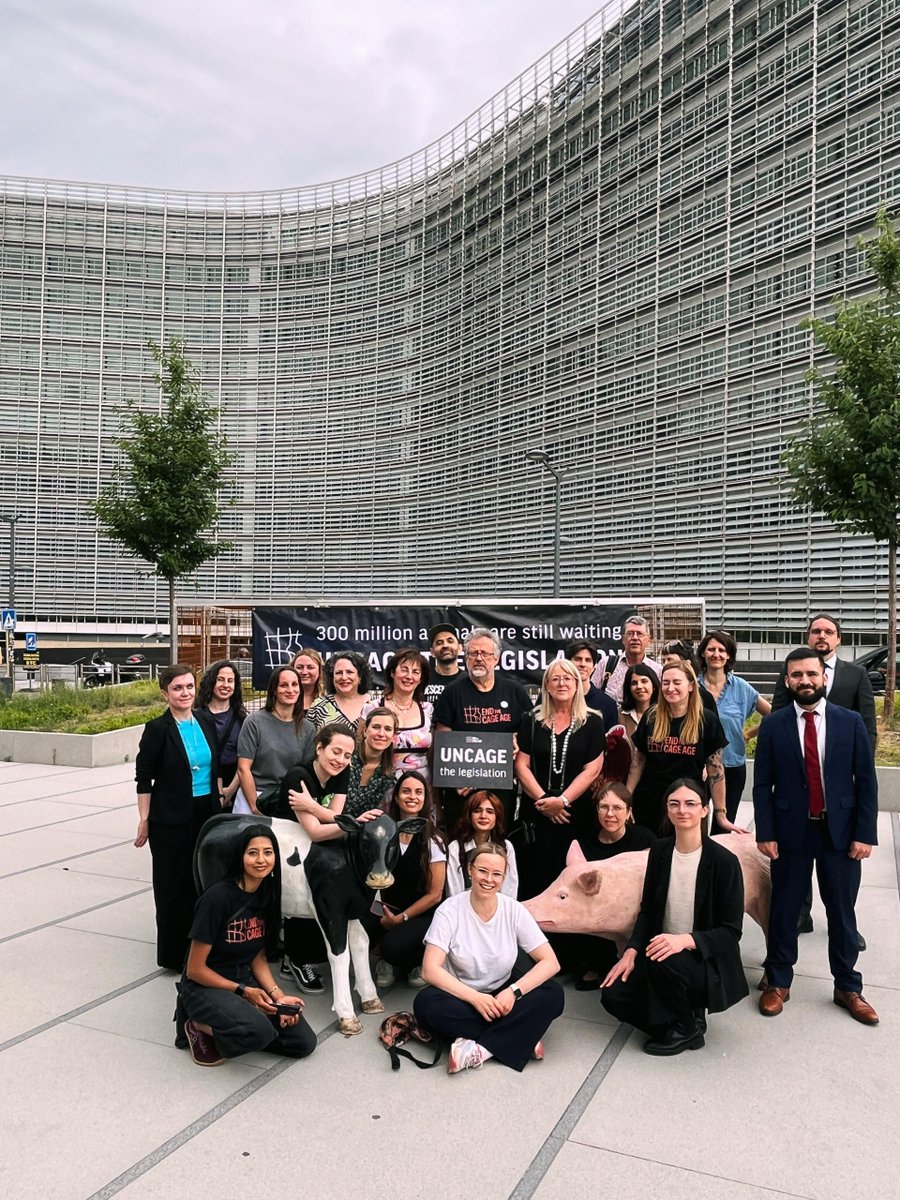 Anima_Int's tweet photo. We’re reminding the European Commission of the promises it made! 🐔

Exactly 5 years ago, on June 30, 2021, the European Commission approved the #EndTheCageAge citizens’ initiative and declared that it would phase out cages for farmed animals across the EU.

The Commission announced at the time that new regulations would be proposed by the end of 2023. Despite this, no proposal has been presented to this day, and millions of animals continue to suffer in cramped cages.

On the fifth anniversary of this promise, we gathered outside the European Commission building, where, together with our #EndTheCageAge coalition partners and Members of the European Parliament, we called on the Commission to take action.

Enough waiting. It’s time to listen to the voice of the people and end the cage age! ✊🏻