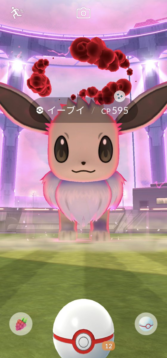 ohuronoyuka's tweet photo. 激アツ！
 #ポケモンGO  #イーブイ https://t.co/mX5Yt9jNYj