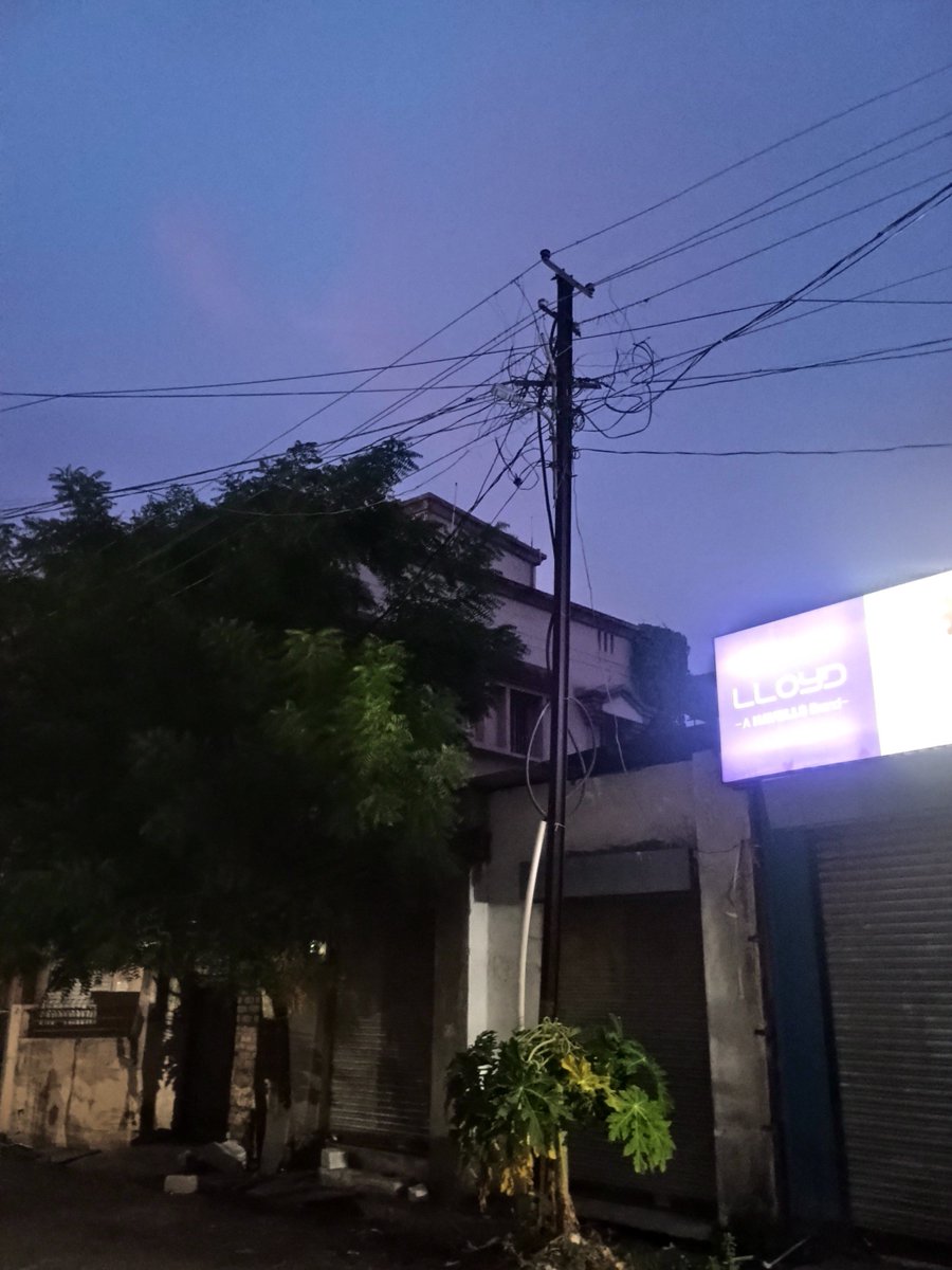 Pras_Bonde's tweet photo. @MSEDCL tree touching wire near pole. If any accident human animal fatle case only @CMDMSEDCL will responsible.  BU 4237.  No one reaponding there. https://t.co/jT52yrhNit