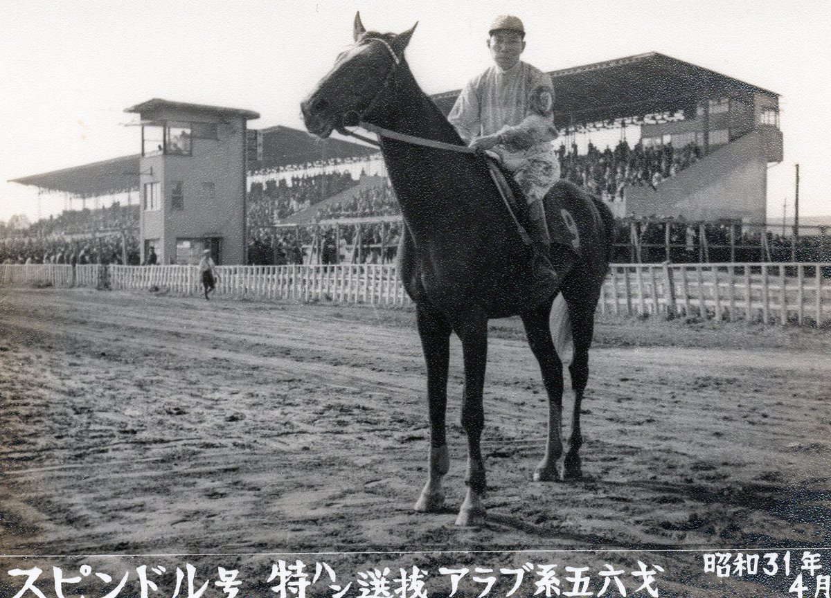 FCK_no_blog's tweet photo. 中山大障害を優勝したアシガラヤマ、天皇賞を優勝したオーエンスが障害競走でしのぎを削ったこともある長居競馬場
他の調査とうまく調整して伺いたいです https://t.co/nDNcEXslFG