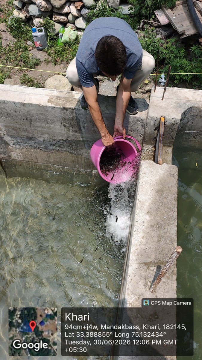 adframban's tweet photo. 🐟 10,000 Trout fingerlings received from Trout Fish Farming Project, Kokernag and stocked in private-sector trout units established under HADP at Banihal and Khari, District Ramban. #HADP #TroutFarming #Fisheries #Ramban @FisheriesJK @FisheriesGoI @DIPRRambandic https://t.co/HEUs1zNvaA