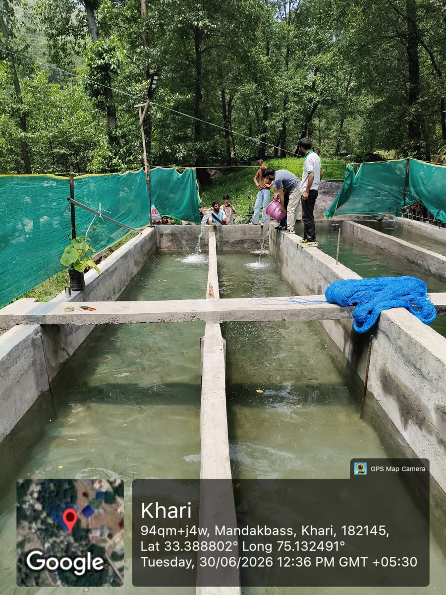 adframban's tweet photo. 🐟 10,000 Trout fingerlings received from Trout Fish Farming Project, Kokernag and stocked in private-sector trout units established under HADP at Banihal and Khari, District Ramban. #HADP #TroutFarming #Fisheries #Ramban @FisheriesJK @FisheriesGoI @DIPRRambandic https://t.co/HEUs1zNvaA