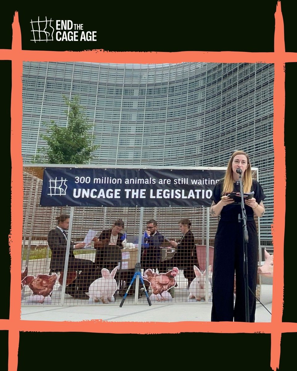 CIWF_Global's tweet photo. We were in Brussels today with @Anima_Int  and the #EndTheCageAge coalition. We erected a cage to mark the five-year anniversary of the Commission’s unfulfilled commitment to ban cages for farmed animals. /1 https://t.co/I2oV36N8mv