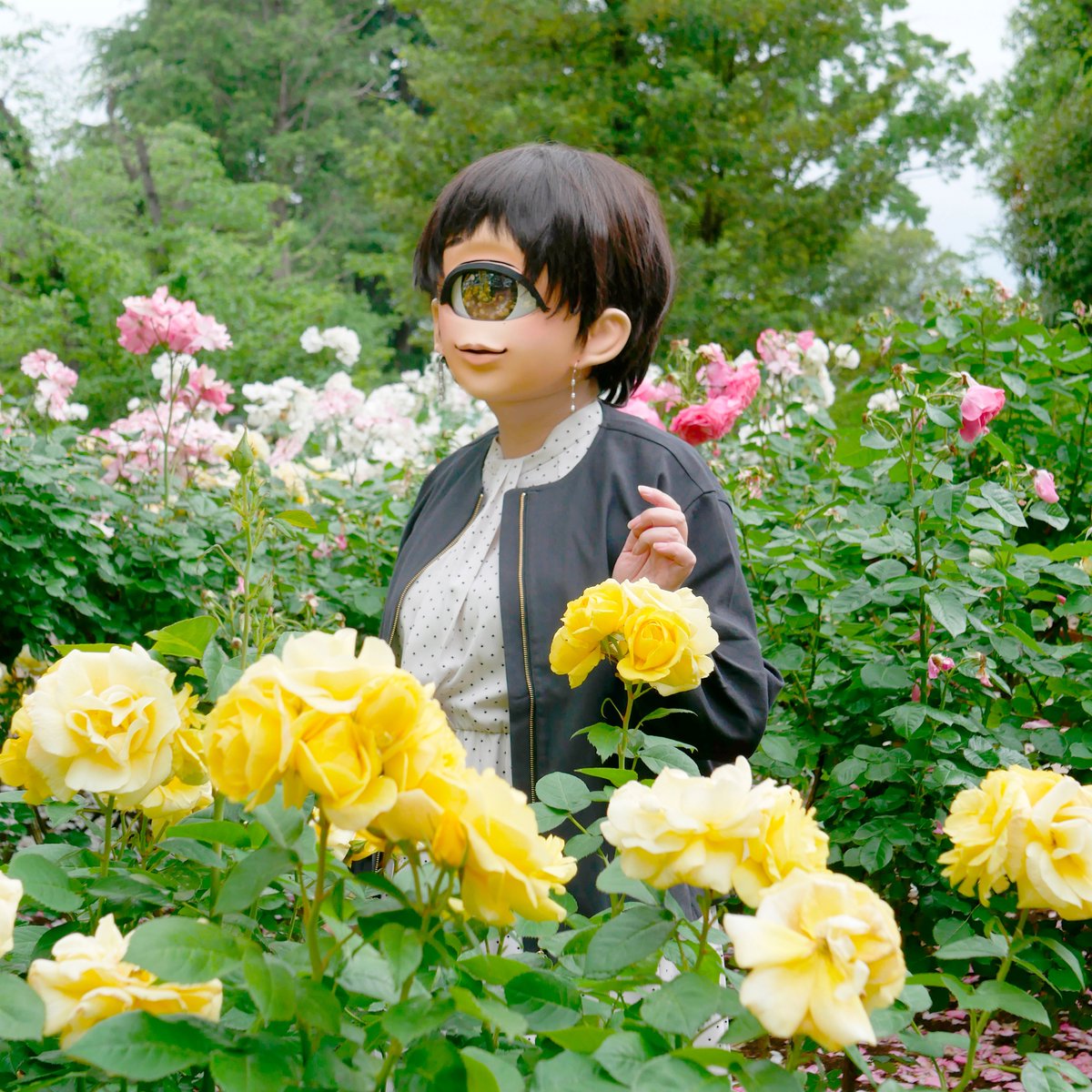 takeoffglasses's tweet photo. 薔薇溢るる
#単眼の日
#毎月1日は単眼の日
#ちもさんフレンズ https://t.co/yhyF5MIJmE