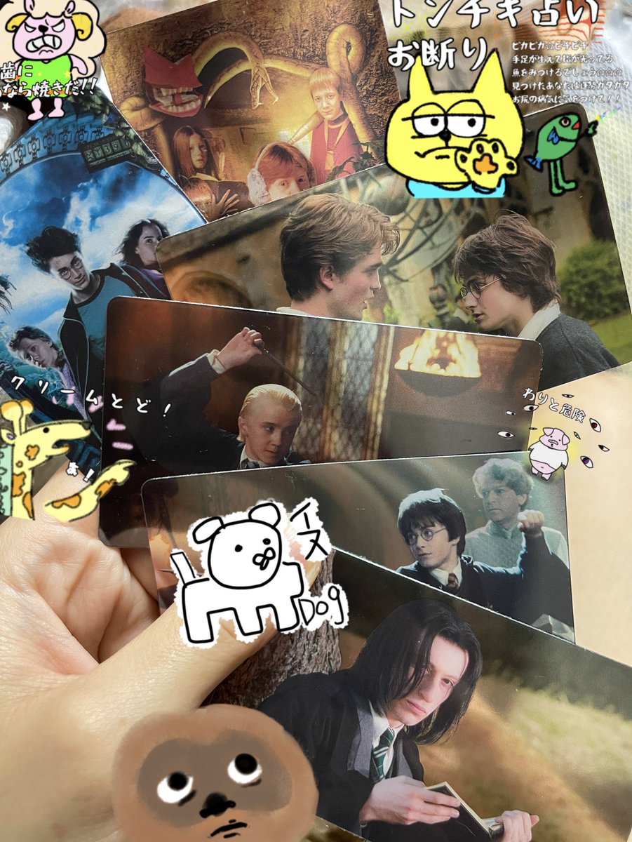 candy_star71's tweet photo. 若セブたちのメタル？ミニカード

これ１枚100円がありがたすぎて😭🙏
欲を言うとマグゴナガル先生やドビーとかも出してほしい！！ https://t.co/vwxfGpXrbk